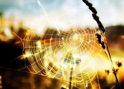 Последний день лета будет теплым и солнечным 