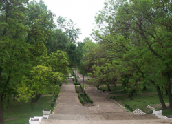 Судьба Мариинского сада в Бельцах бужет решаться 21 октября