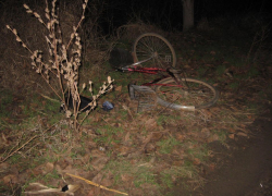 В Каушанском районе пьяный водитель сбил насмерть велосипедистку