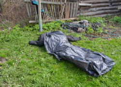 Гражданина Молдовы забили насмерть битой и расчленили бензопилой в Подмосковье