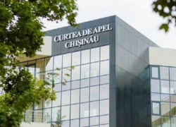 15 кандидатов на 6 мест - состав Апелляционной палаты может сильно измениться