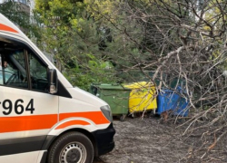 Сильный ветер повалил дерево на женщину в Кишиневе 