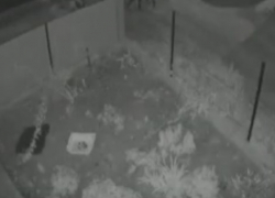 Убийство в Бричанах - видео подозреваемых появилось в Сети