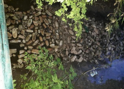 В Гидигиче сотни буханок хлеба цинично выбросили прямо в воду