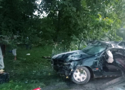 17-летний парень погиб в ДТП, влетев в дерево