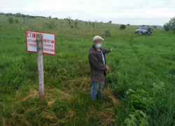 Украинский пастух погнался за коровами, но наткнулся на молдавских пограничников