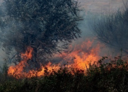 В Кишиневе две семьи были эвакуированы из-за возгорания растительности