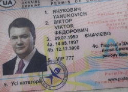 Виктор Янукович катался по Харькову на BMW и был схвачен полицейскими