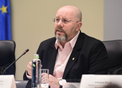 Зампримара Бухареста ополчился на Санду и Нэстасе