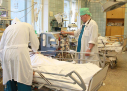 Мужчина сломал позвоночник, а женщина порвала селезенку при падениях с ореховых деревьев