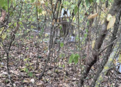В Новоаненском районе Молдовы предположительно упал и взорвался беспилотник