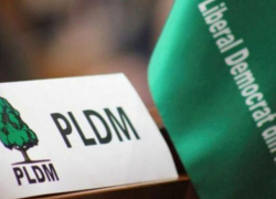 Грызня ЛДПМ и ДПМ - либерал-демократы обратились в ЦИК