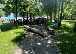 В деле о гибели ребенка в парке Alunelul появился подозреваемый