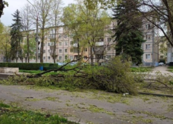 Ребёнок, пострадавший в зоопарке Кишинёва, находится в реанимации: состояние тяжёлое