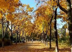 В пятницу в Молдове сохранится теплая погода