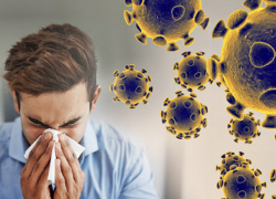 В Молдове выявлено всего 46 новых случаев COVID-19 за сутки