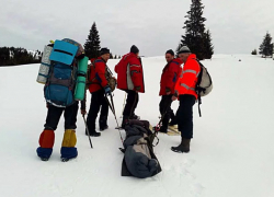 Девушка чудом выжила после падения с обледенелой горы в 300-метровую пропасть в Карпатах 