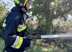 Из-за сильного пожара временно перекрыто движение по трассе Кишинев –Джурджулешты  