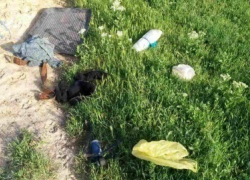 В районе Штефан Водэ мотоциклист умер после ДТП с грузовиком