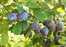 Во вторник в Молдове будет не жарко, а ночью – реально холодно 