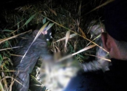 СМИ: маньяк из Молдовы убил девочку на Украине