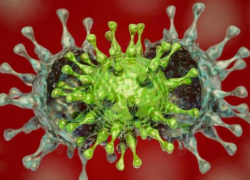 В Молдове выявлено 2068 новых случаев COVID-19  