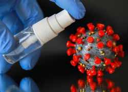 Срочно! В Молдове выявлено 485 новых случаев COVID-19  за сутки