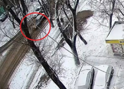 Наезд автомобиля на девочку на Ботанике попал на видео