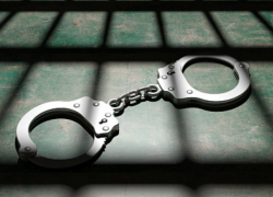 Обвинен в насилии над детьми: гражданин, скрывавшийся в Германии, экстрадирован в Молдову