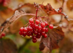 В среду в Молдове будет облачно и ветрено 