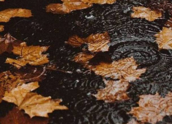 В пятницу в Молдове будет холодно и дождливо 