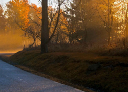Зверски избитого обнаженного молодого человека в луже крови обнаружили дети у дороги в Унгенах