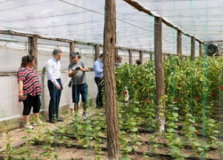 Речан полакомился перцовым вареньем