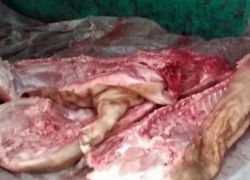 Полиция задержала на севере крупный груз свинины без сопроводительных документов