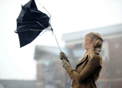 Желтый код: на Новый год без снега, но с сильным ветром