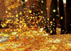 Ураганный ветер обрушится на Молдову в четверг: объявлен желтый код метеоопасности 