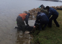 Загадочно исчезнувшего на рыбалке жителя Тирасполя обнаружили мертвым в Днестре