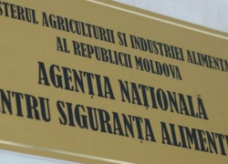 Коррумпированный чиновник ANSA взял под контроль три таможенных поста