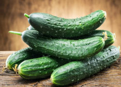Заоблачные цены на огурцы в супермаркетах на фоне дешевой продукции от производителей