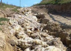 «Шерсть вместо асфальта» - «ноу-хау» от дорожников в Хынчештском районе