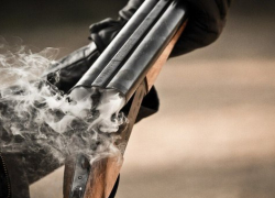 В Флорештском районе охотник застрелился, пытаясь убить собаку