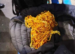 На границе с Румынией остановлен турок, который пытался вывезти из страны 20 килограмм янтаря