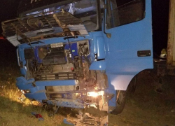 Тягач Mercedes под управлением жителя Одесской области опрокинулся у Григориополя