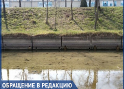 Бык задохнулся: окраину Кишинева накрыла волна ядовитой вони