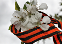 Граждан Молдовы не пустили на Украину из-за георгиевских ленточек