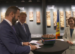 В честь Санду назвали новый сорт голландских тюльпанов