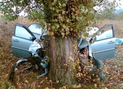 Пассажирка автомобиля, врезавшегося в дерево, погибла от полученных травм 