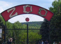 В кишиневском зоопарке повысят качество сервиса - детям будут читать лекции про птиц