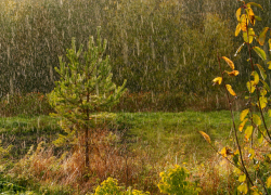 Во вторник в Молдове возможны небольшие дожди 