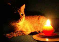 В четверг в некоторых секторах Кишинева и районах республики не будет света 